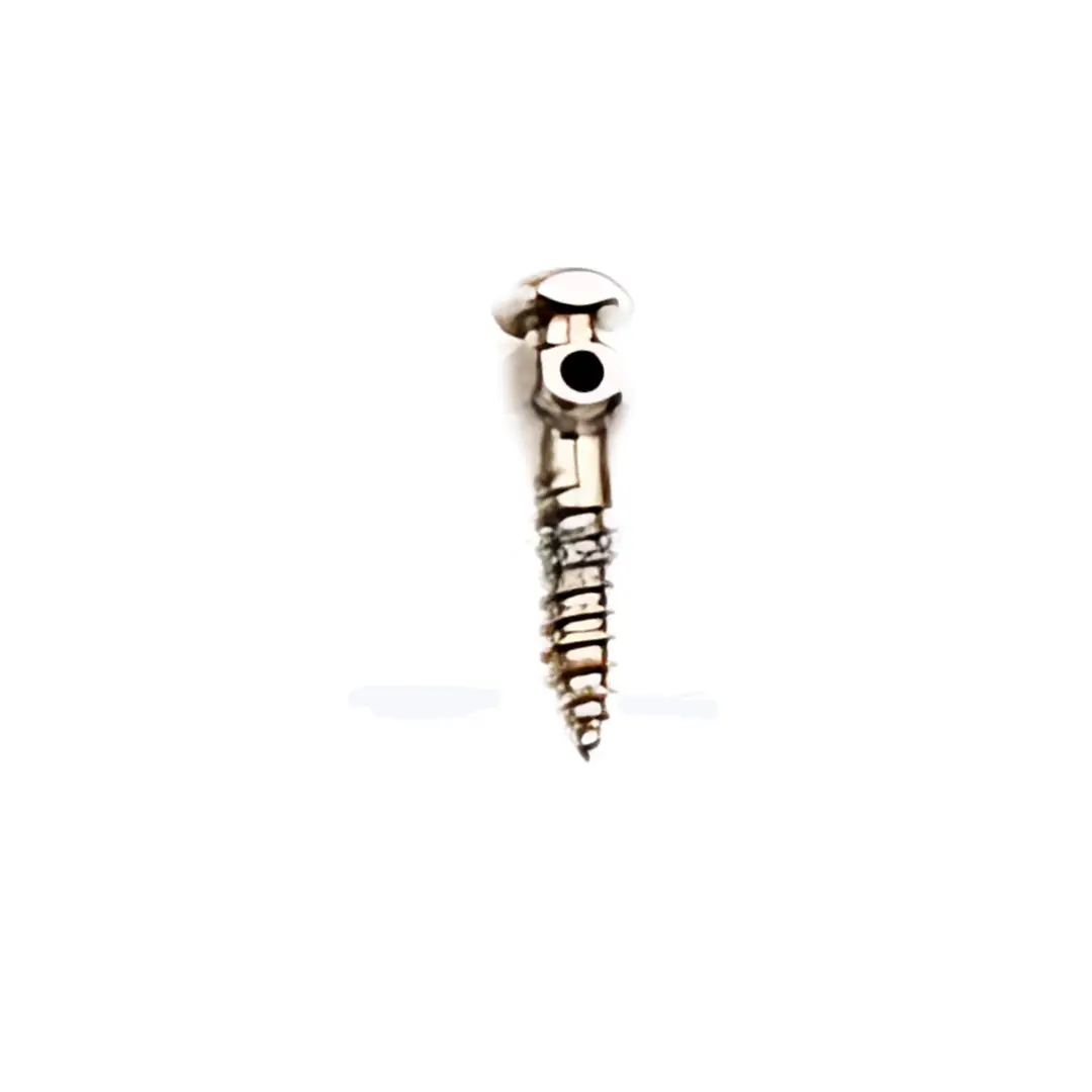 Mini Screw 6mm