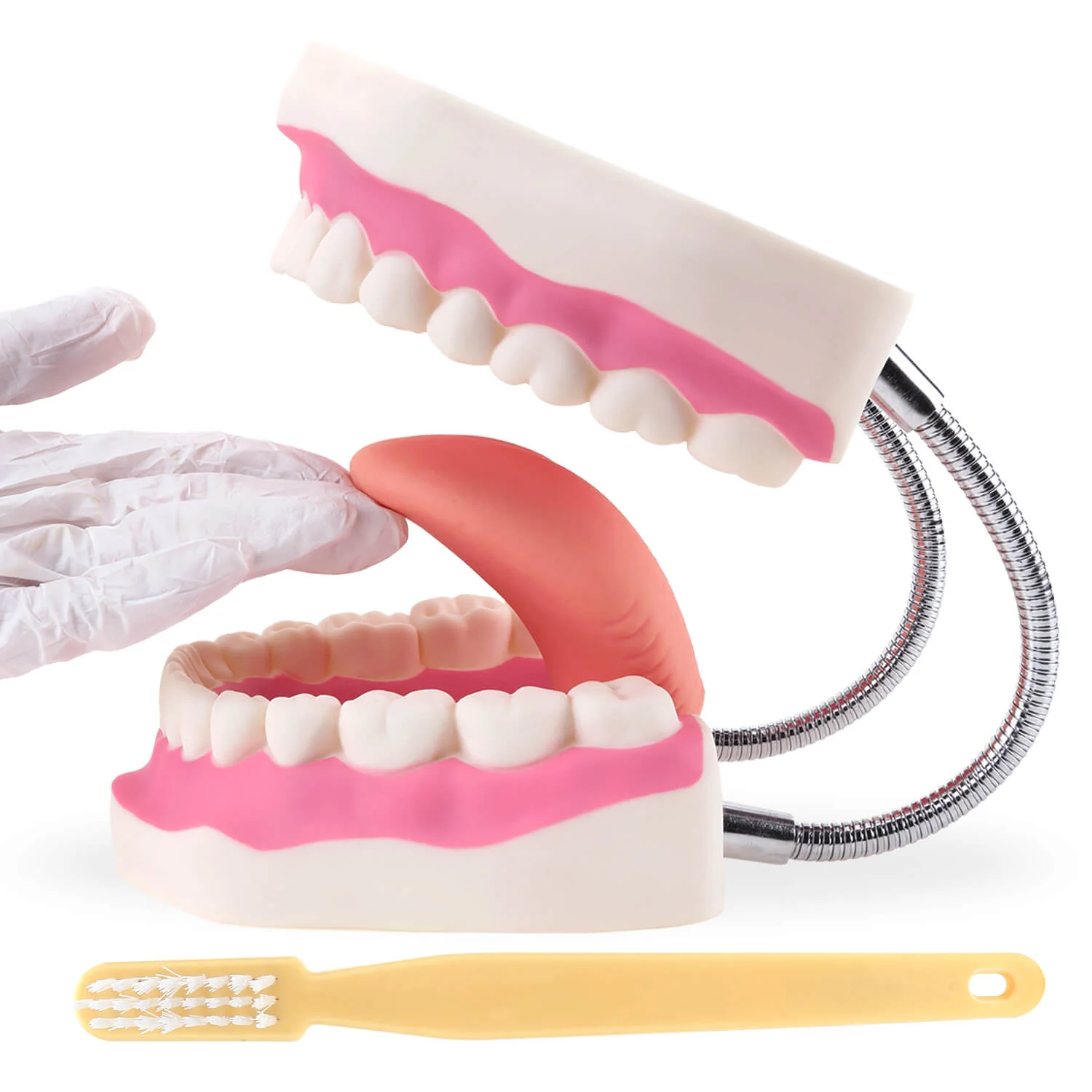 Teeth module with brush