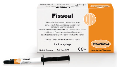 Fisseal