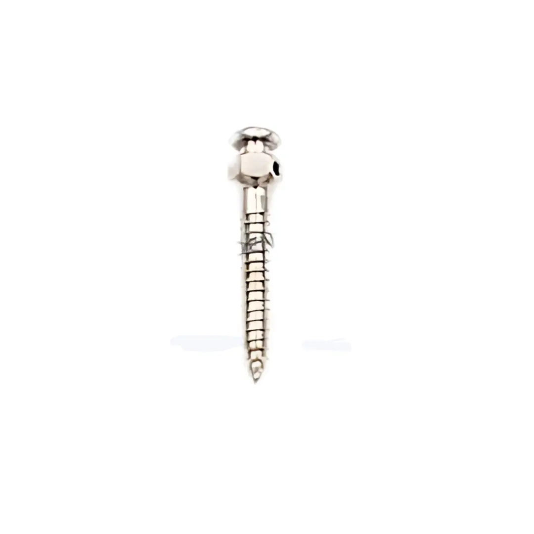 Mini Screw 10mm