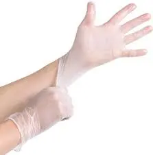 Vinyl Gloves