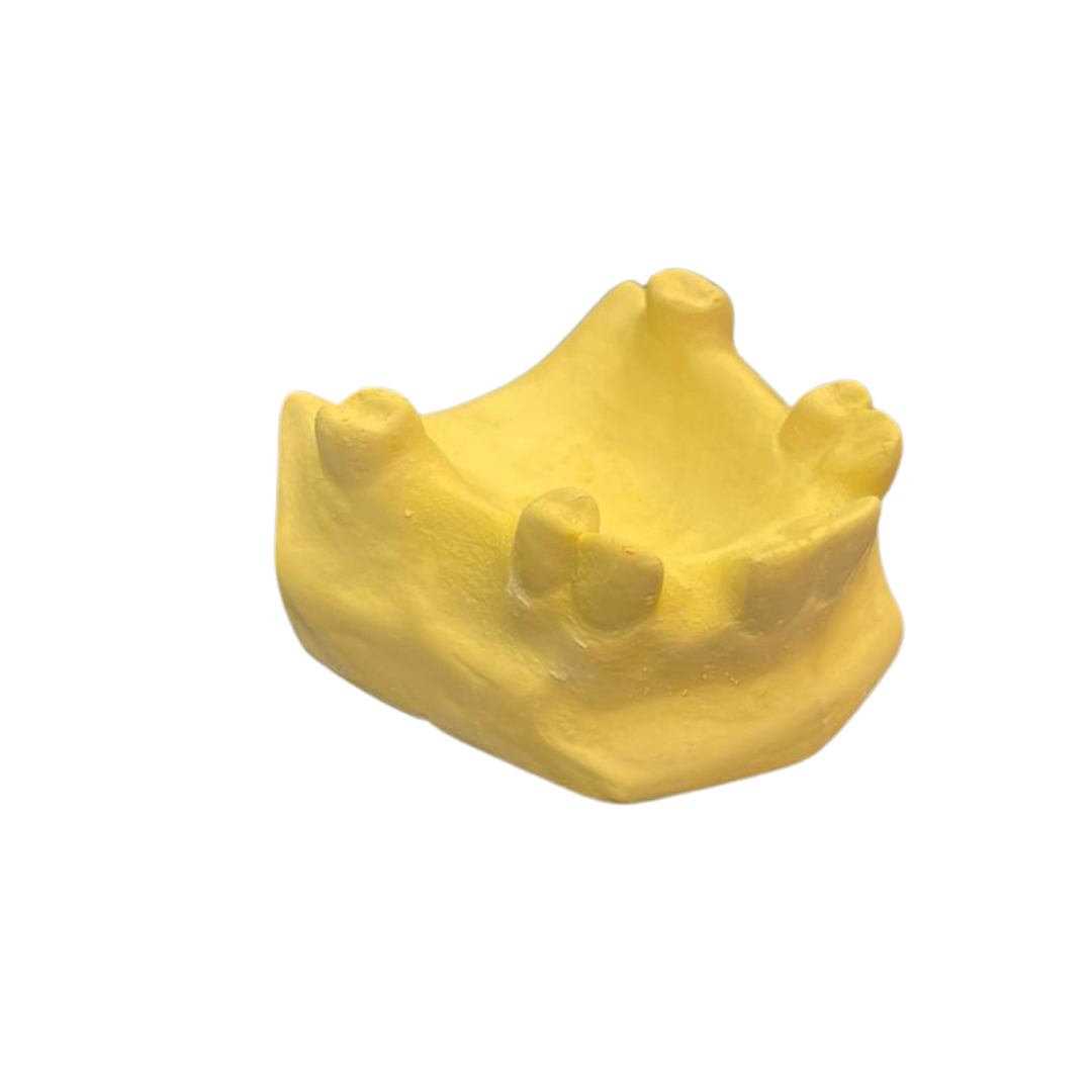 Class 3 Modification 2 Pedo-Cast